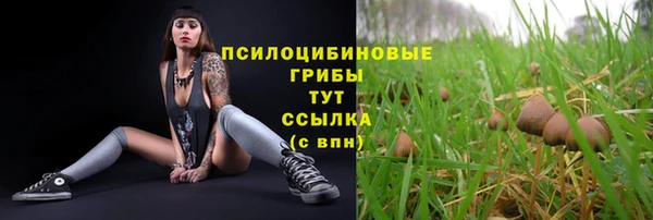 герыч Абаза