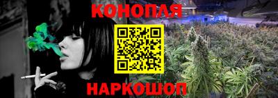 МДПВ Новозыбков
