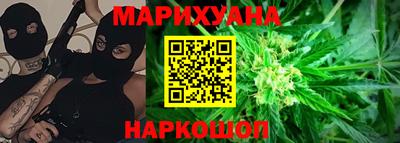 МДПВ Новозыбков