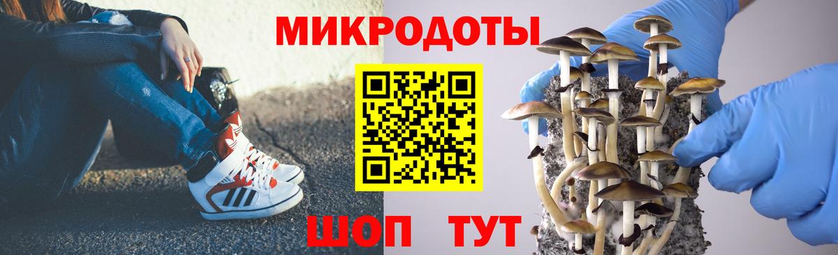 сколько стоит  Вход с VPN  Сатка  Галлюциногенные грибы Psilocybine cubensis 