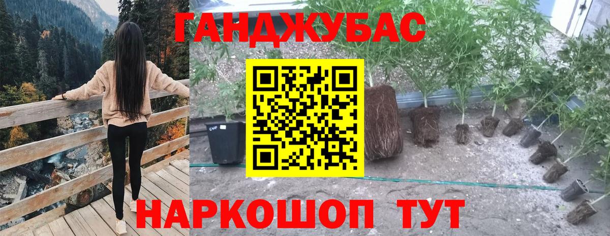 Шишки марихуана SATIVA & INDICA Сатка